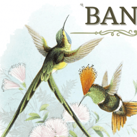 Bandada