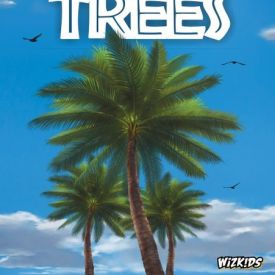 Palm Trees