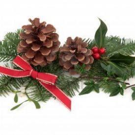 Happy Holidays from the Game Market Guru!